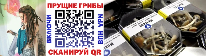 Псилоцибиновые грибы ЛСД  маркетплейс как зайти  Луза  купить  